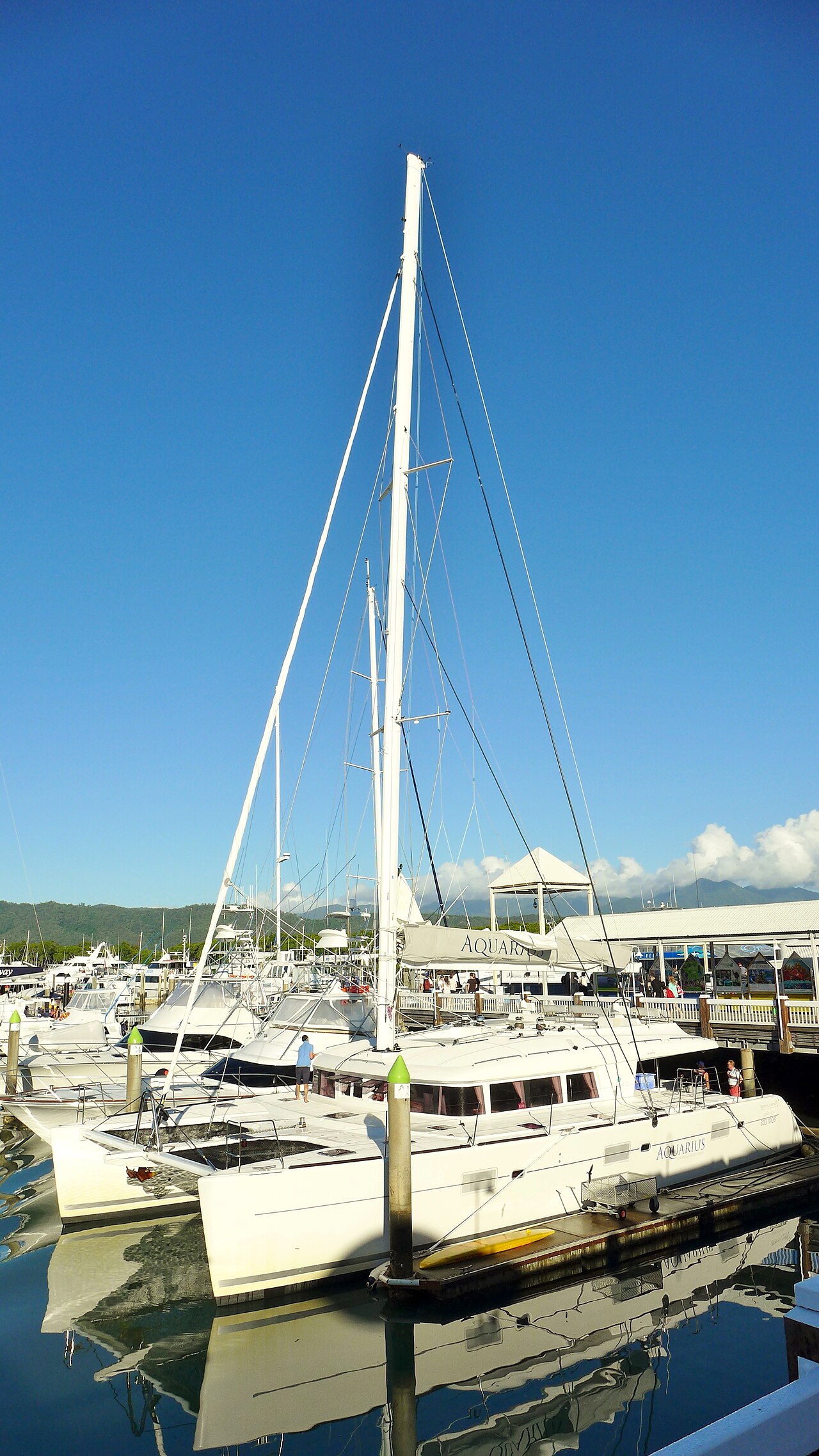 Boats moored at Port Douglas Marina with mountain backdrop